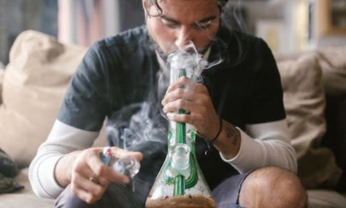 Higher levels of toxic metals found in blood, urine of regular Marijuana Users