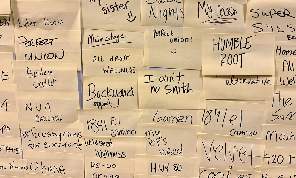 Cannabis Exhibition California State Fair