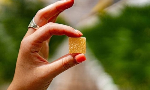 In smoke-filled air, smokeless Cannabis is an appealing alternative