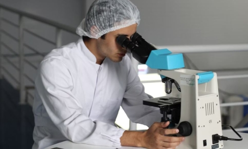 Is the Cannabis industry sitting on an untouched gold mine?