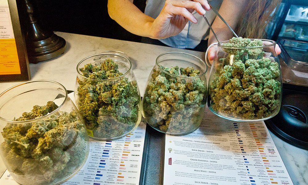 Cannabis Industry Is Fastest Growing Job Market