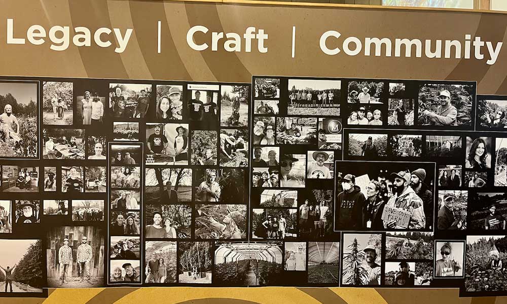 Cannabis Exhibition California State Fair