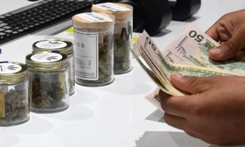 Medical Marijuana pioneered legal weed in Michigan and now it's withering away