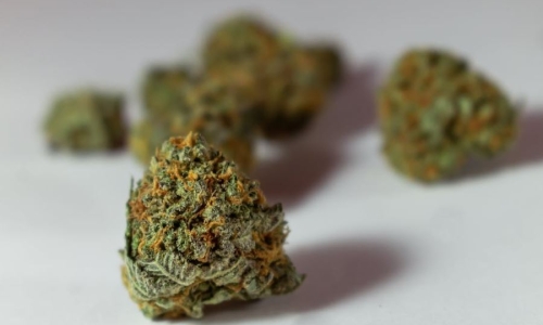 Missouri Marijuana microbusinesses selected for licenses in statewide lottery
