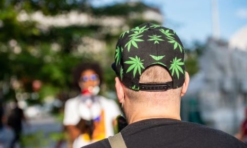 NY Cannabis industry stakeholders call for accountability