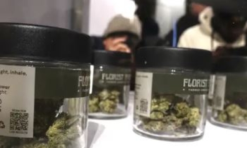 NY shuts down alleged unlicensed Cannabis shops