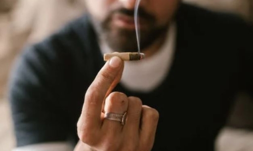 New Jersey’s Weed industry is in a ‘doom loop’