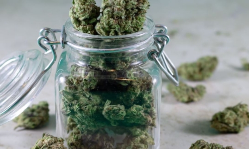 Ohio now expected to vote on Cannabis Legalisation in November