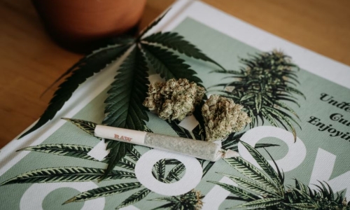 Ohio to vote on Recreational Marijuana in November