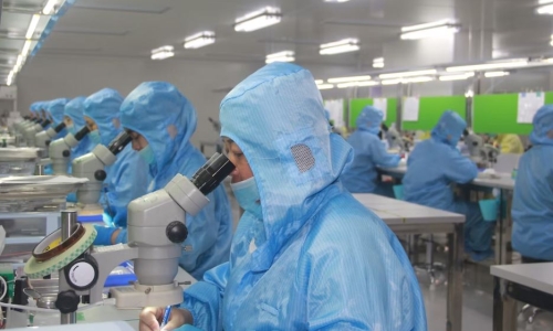 Pharma Industry showing ‘Growing Interest’ in Cannabis