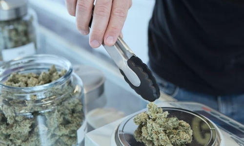 Pot industry has a 'fake union' problem