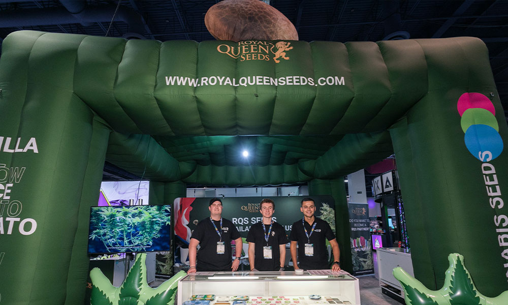 Royal Queen Seeds CHAMPS summer 2023