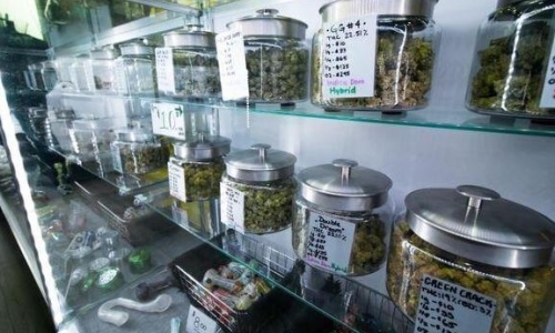 SD Medical Cannabis cards top 11,500, well ahead of Dept of Health projections