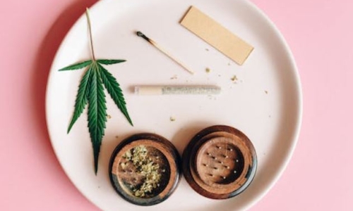 South Dakota’s Medical Cannabis program shatters projections
