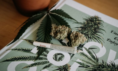 The Green Revolution: The economic impact of legalizing Cannabis