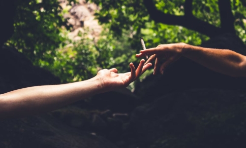 Top 5 Big Moments in Cannabis History