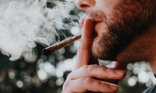 US adults see smoking Cannabis as safer than Tobacco