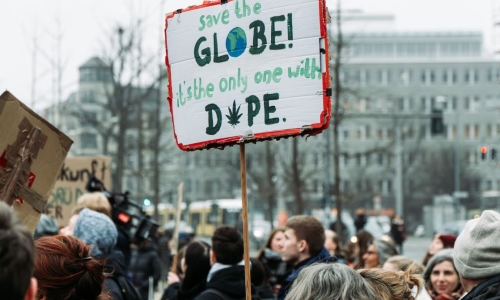 Unlicensed Cannabis events prompt crackdown by City of Denver