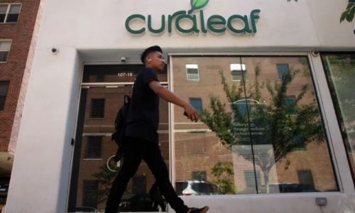 Big Weed is on the brink of a Multi-Million Dollar surge into New York’s Cannabis Market
