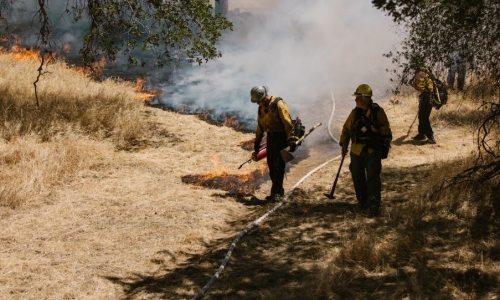 Cannabis farmers want to be included in wildfire recovery program