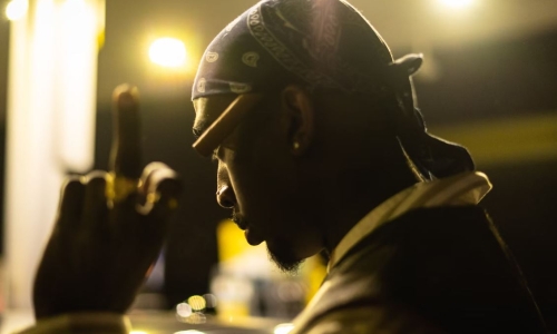 Cannabis marketplace settles legal dispute over Tupac photo