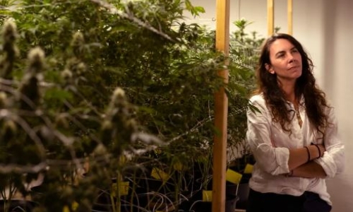 Changes are coming to Maine’s $300m Medical Cannabis industry