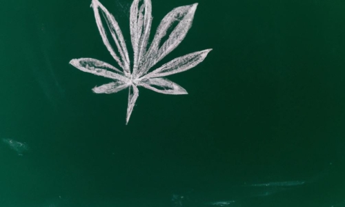 Is Weed education resonating with the Public?