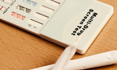 Michigan to end Marijuana Testing for most state Government Job Applicants