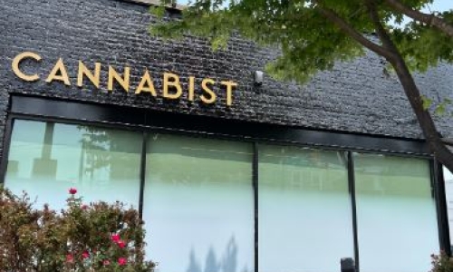 New York Cannabis giant has a new name and Brand Identity