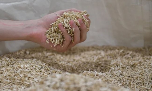 Oklahoma lawmakers hope to see state’s industrial hemp market grow