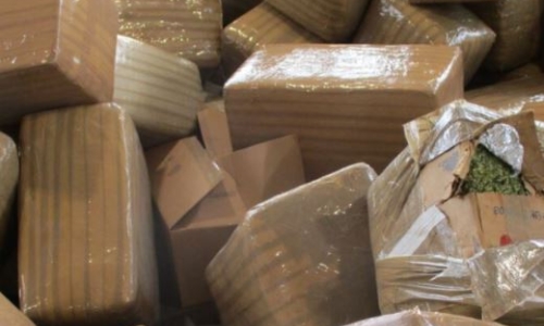 Over $5M in illicit Marijuana seized at Otay Mesa Port of Entry