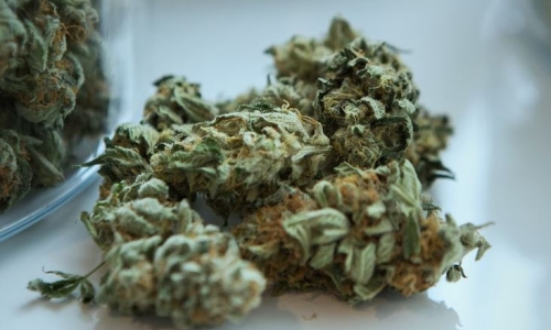 Vermont's Cannabis marketplace has been open for a year and is generating millions