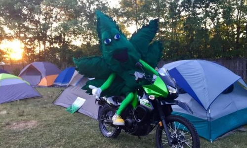 Weedstock is a dope Delaware festival that wants all the smoke: 'Bring your best buds'