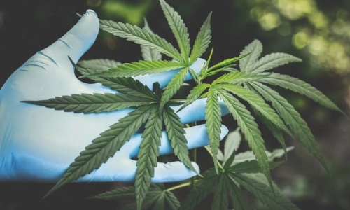 What the federal 'Rescheduling' of Cannabis would (and wouldn't) mean