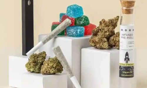 Young Cannabis entrepreneurs discover untapped market