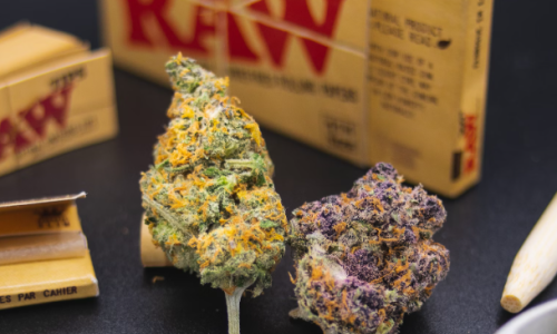 Albuquerque City Council considers new ways to use Cannabis tax revenue