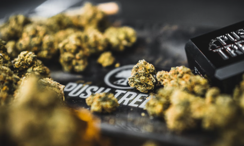 Connecticut continues to sell $25M per month in combined Adult-Use and Medical Pot