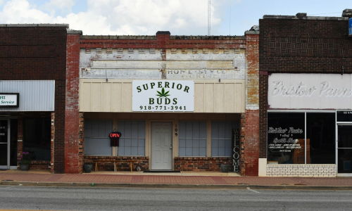 ‘People just can’t pay their bills’: Wild Marijuana market is about to shrivel