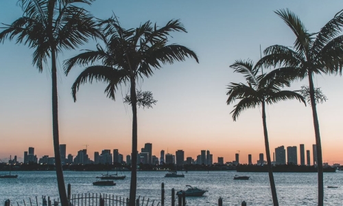 Florida Recreational Marijuana initiative goes to state Supreme Court