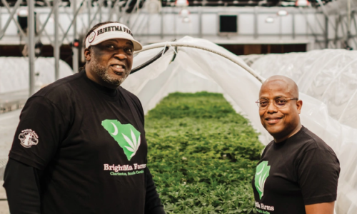Hemp farming stalls and takes a shift in South Carolina