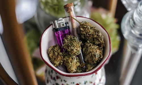 Is Cannabis today really much more potent than 50 years ago?