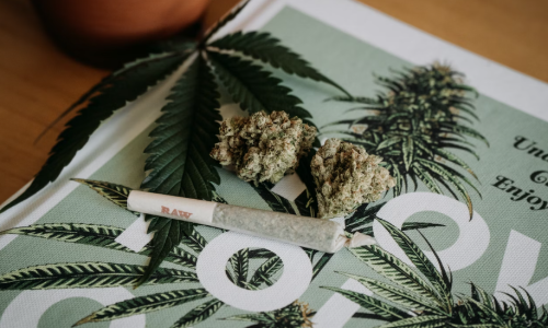 Is This the Best Way to Change Minds About Cannabis?