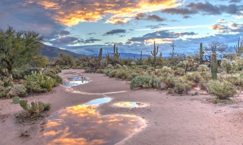 It's time to align Cannabis laws with reality in Arizona