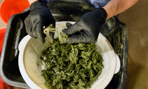 It’s time to end the stigma around Cannabis Retail
