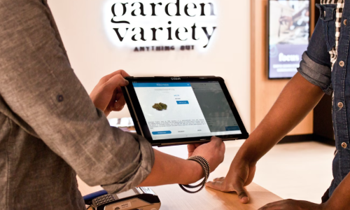 Missouri regulators aware of ads seeking to sell microbusiness Cannabis licenses