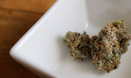 More than 150 Oklahoma Dispensaries face new state fines