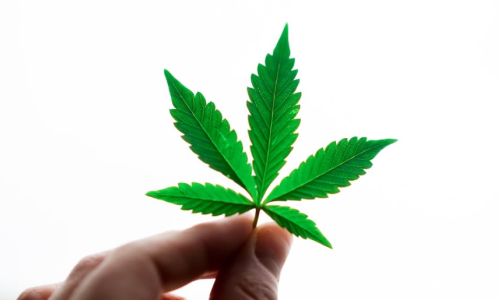 Wyoming advocates adamant on collecting signatures for Ballot Initiatives