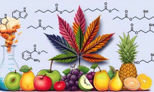 A closer look at the compounds and molecules involved in giving Cannabis its unique scent