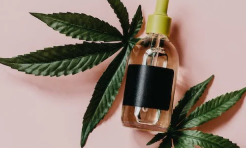 Advanced Digital Cannabis Technology Applied to an Ancient Practice