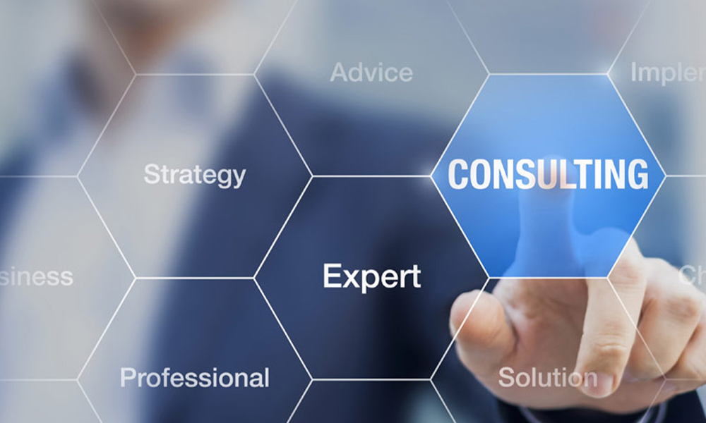 Cannabis Business Consultants
